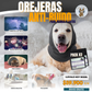 OREJERAS ANTI-RUIDO S&J GOLD® |PERROS Y GATOS|